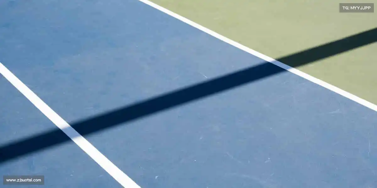 行业领先的理由